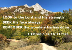 Bible Verse Of The Year