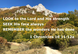 Bible Verse Of The Year