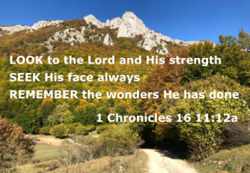 Bible Verse Of The Year